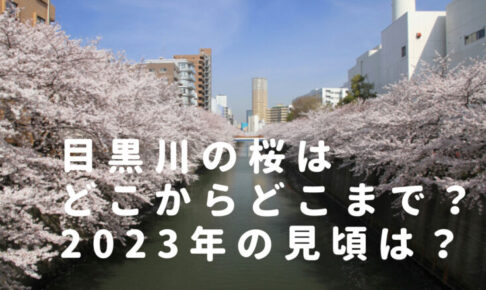 目黒川の桜はどこからどこまで？2023満開の見頃時期やおすすめ写真スポットも紹介